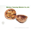 No 1 in the world Walnut Kernels